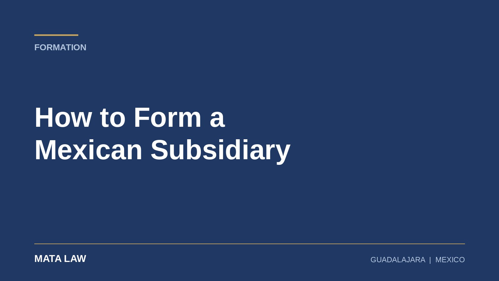 Subsidiary Forms How to Form a Mexican Subsidiary: A Practical 2026 Guide for Foreign ...